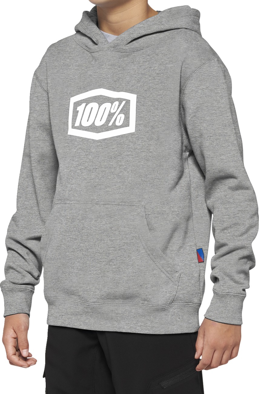 100% Youth Icon Hoody - Heather Gray, Youth Large - Click Image to Close