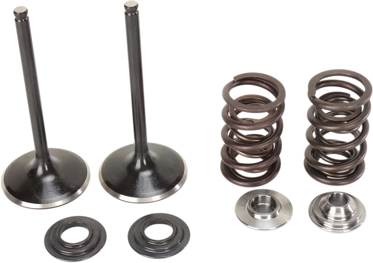 Stainless Intake Valve and Spring Kit - For 06-09 Suzuki LTR450 QuadRacer - Click Image to Close