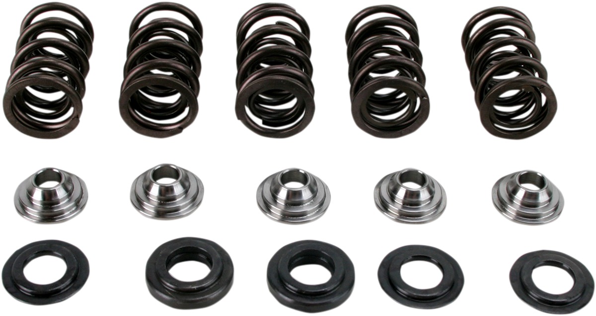 Hot Cams Valve Spring Kit For 01-05 Yamaha YFM660R Raptor - Click Image to Close