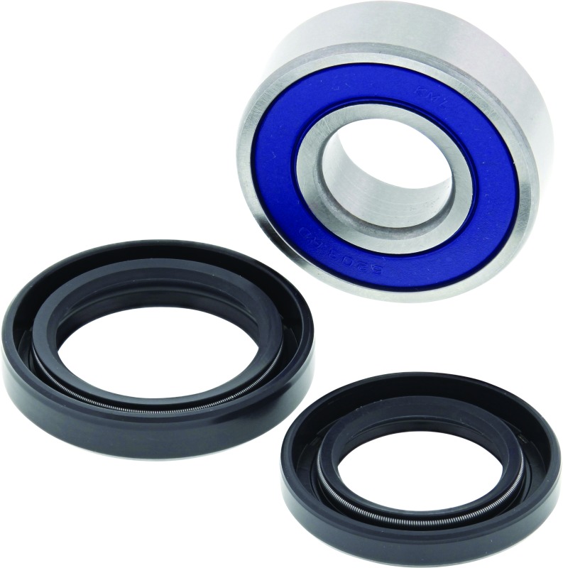 06-09 Arctic Cat 250 2x4 Lower Steering Bearing Kit - Click Image to Close