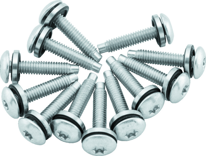 TwinPower Fuel Pump Plate Screw Kit For 04-17 Dyna Models - Click Image to Close