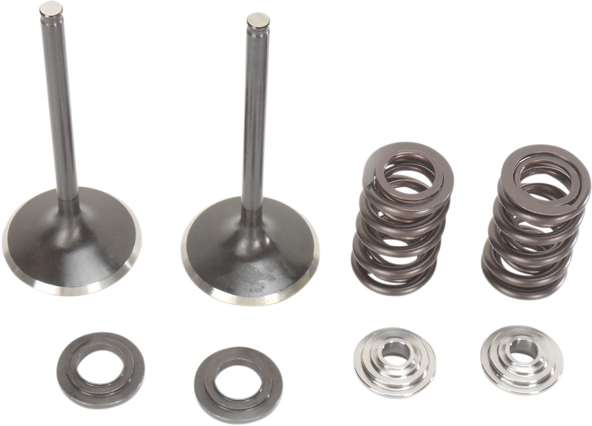 Stainless Intake Valve and Spring Kit - For Honda TRX450R CRF450R - Click Image to Close