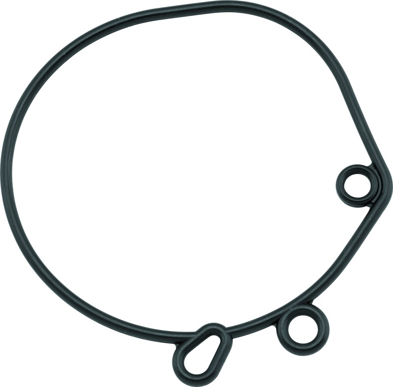 Twin Power Float Bowl O-Rings 10-Pack Replaces H-D 27324-83 Fits 84-89 Big Twin - Click Image to Close