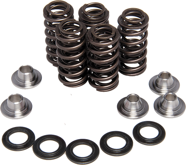 Racing Valve Spring Kit - For Suzuki DRZ400 E/S/SM & LTZ400 - Click Image to Close