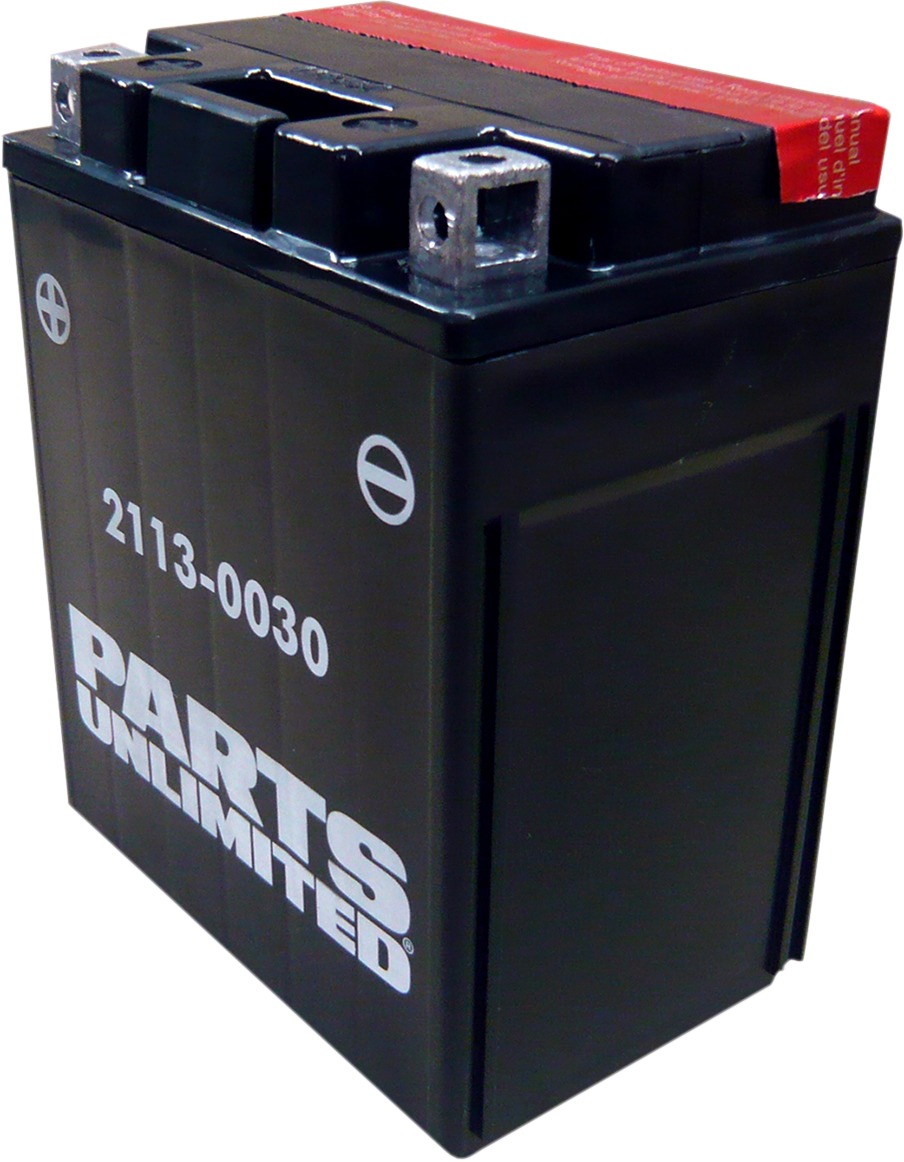 AGM Maintenance Free Battery 210CCA 12V 12Ah - Replaces YTX14AH-BS - Click Image to Close