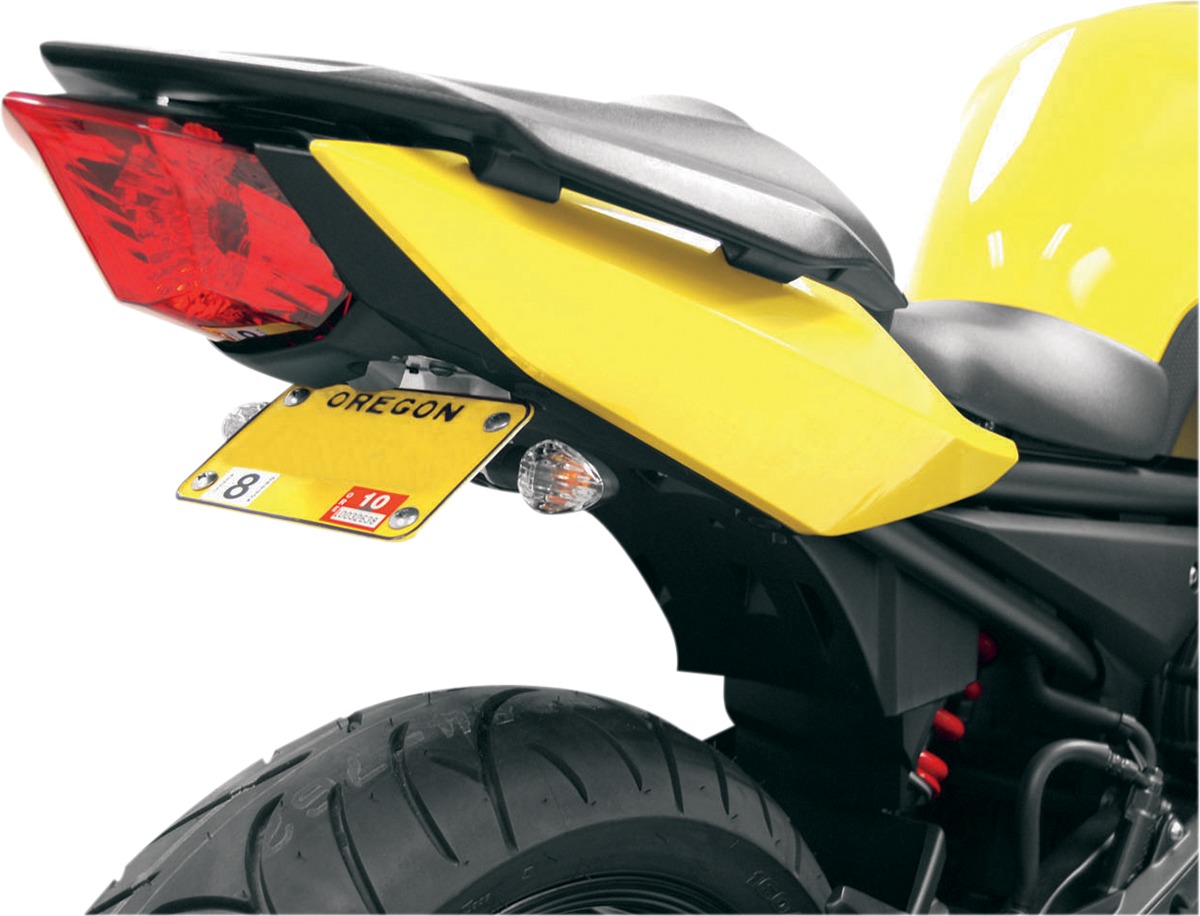 Fender Eliminator - for 09-13 Yamaha FZ6R - Click Image to Close