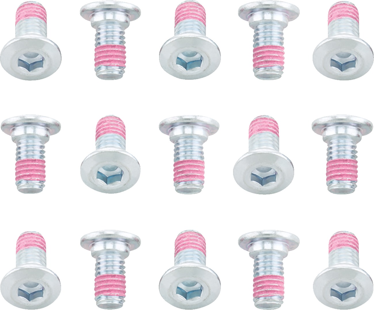 Brake Rotor Bolts Fits Kawasaki KLR650 - Click Image to Close