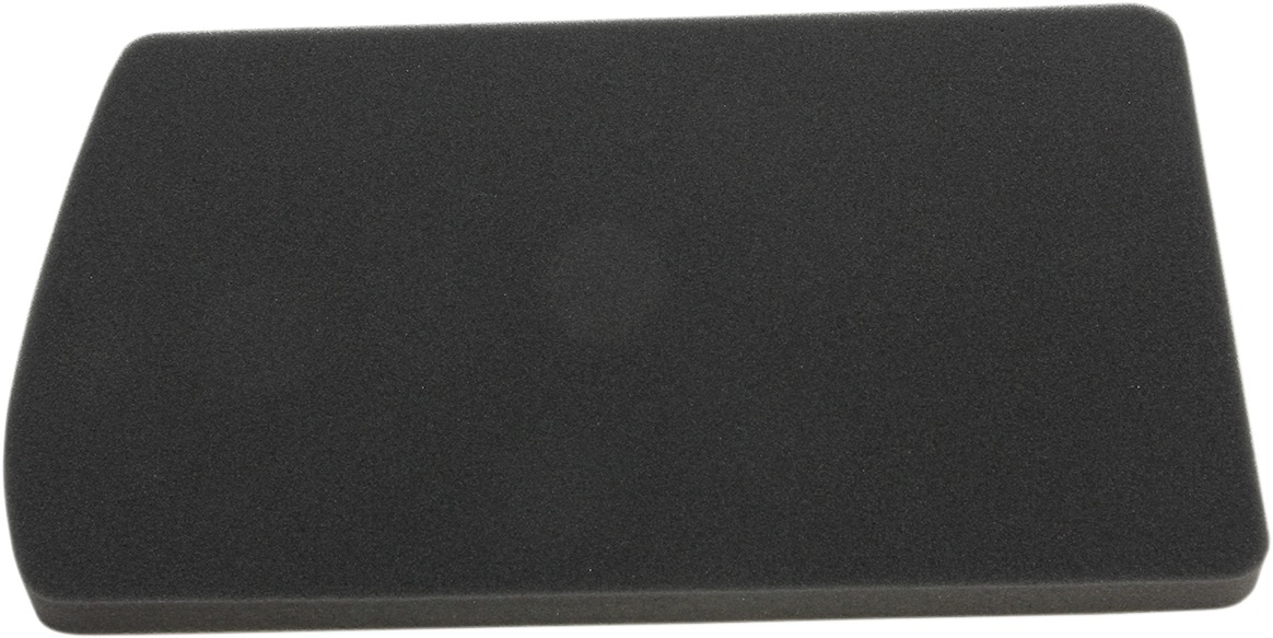 HiFloFiltro HFA7603 Air Filter for BMW - Click Image to Close