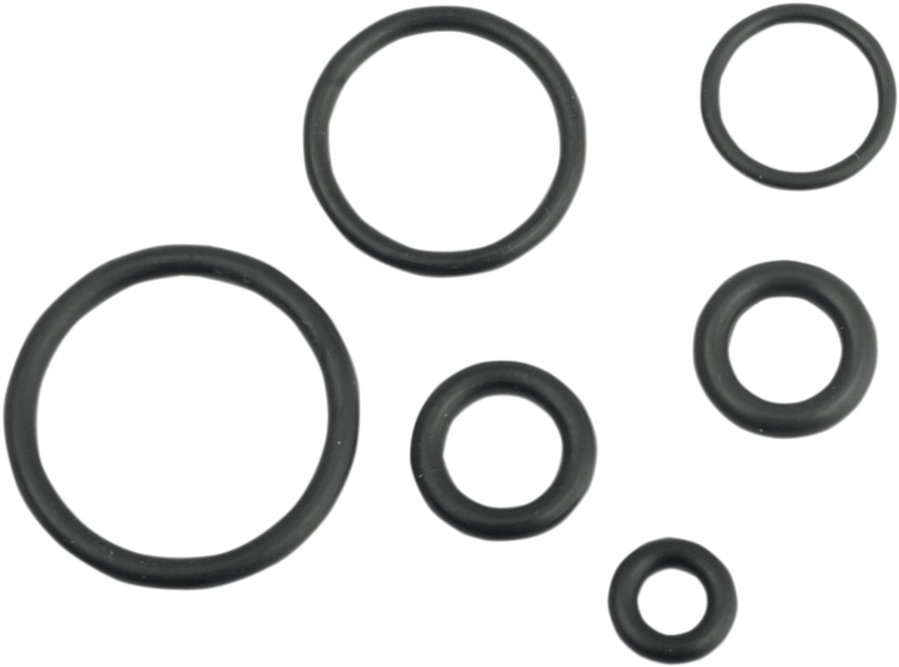 O-Ring Kit For H-D Delphi EFI Fuel Lines - Click Image to Close