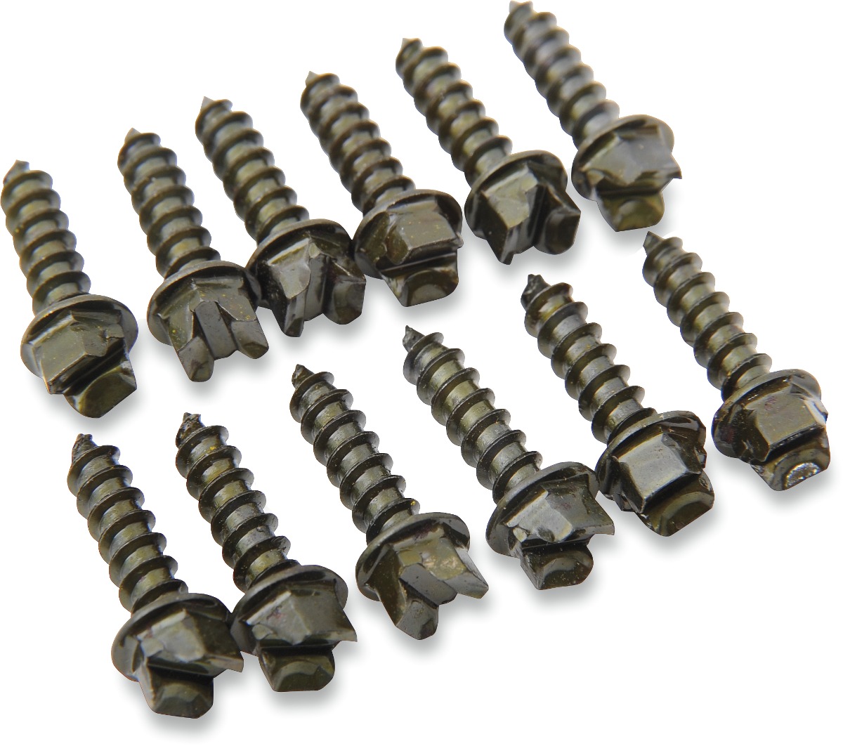 3/4" PRO Gold Screws, Coarse - 1000 Pack - Motorcycle & ATV Ice Racing Studs - Click Image to Close