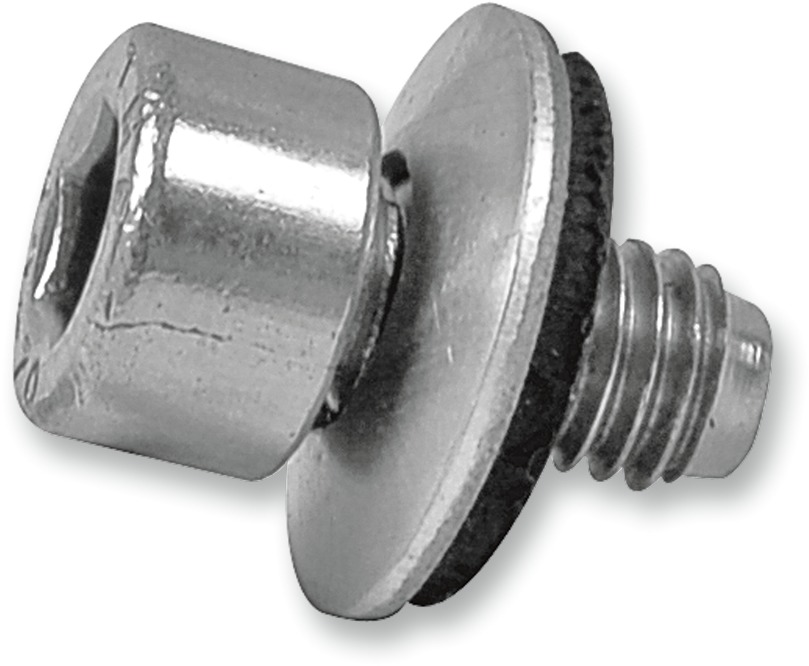 Nitrogen Charging Bolt - Click Image to Close
