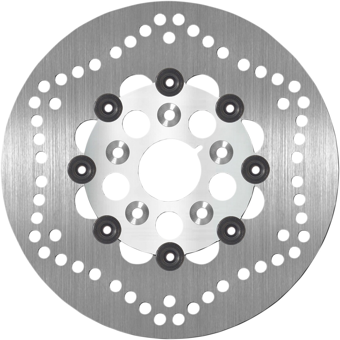 Floating Front Brake Rotor 254mm - Click Image to Close