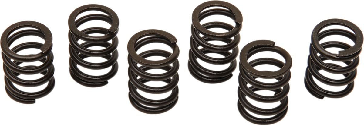 Barnett Clutch Spring Kit For Suzuki TL 1000 S/R - Heavy-duty spring set for Suzuki TL 1000 S/R - Click Image to Close