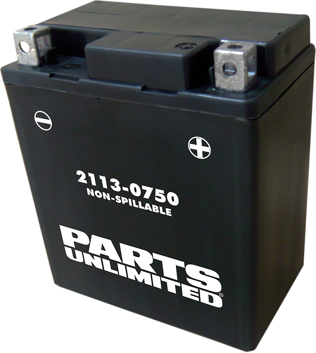 AGM Maintenance Free Battery 100CCA 12V 6Ah Factory Activated - Replaces YTX7L - Click Image to Close