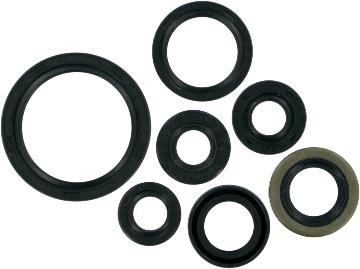 Oil Seal Kit - For DRZ400 E/S/SM & KLX400 - Click Image to Close