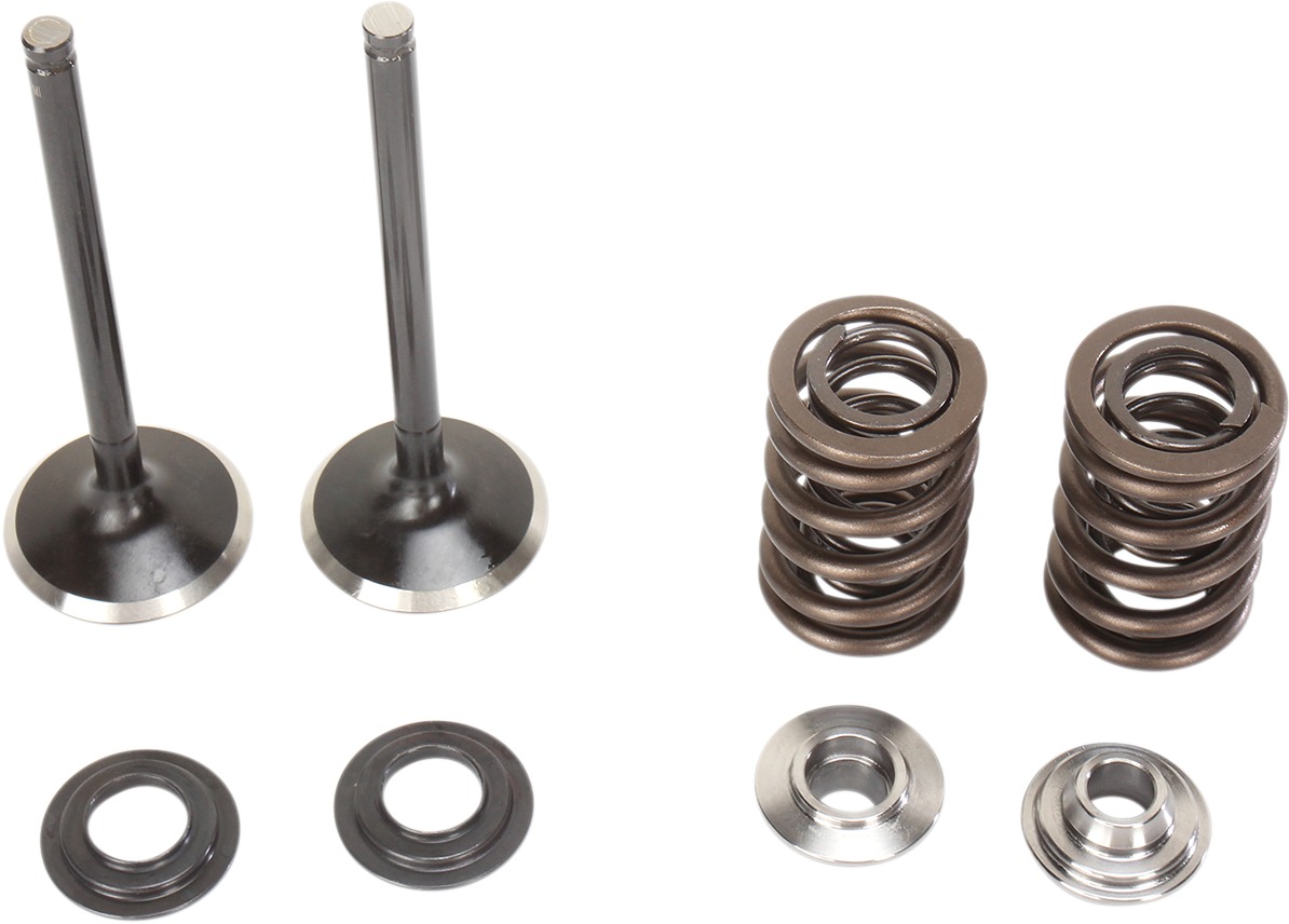 Stainless Exhaust Valve and Spring Kit - For 06-09 Suzuki LTR450 QuadRacer - Click Image to Close