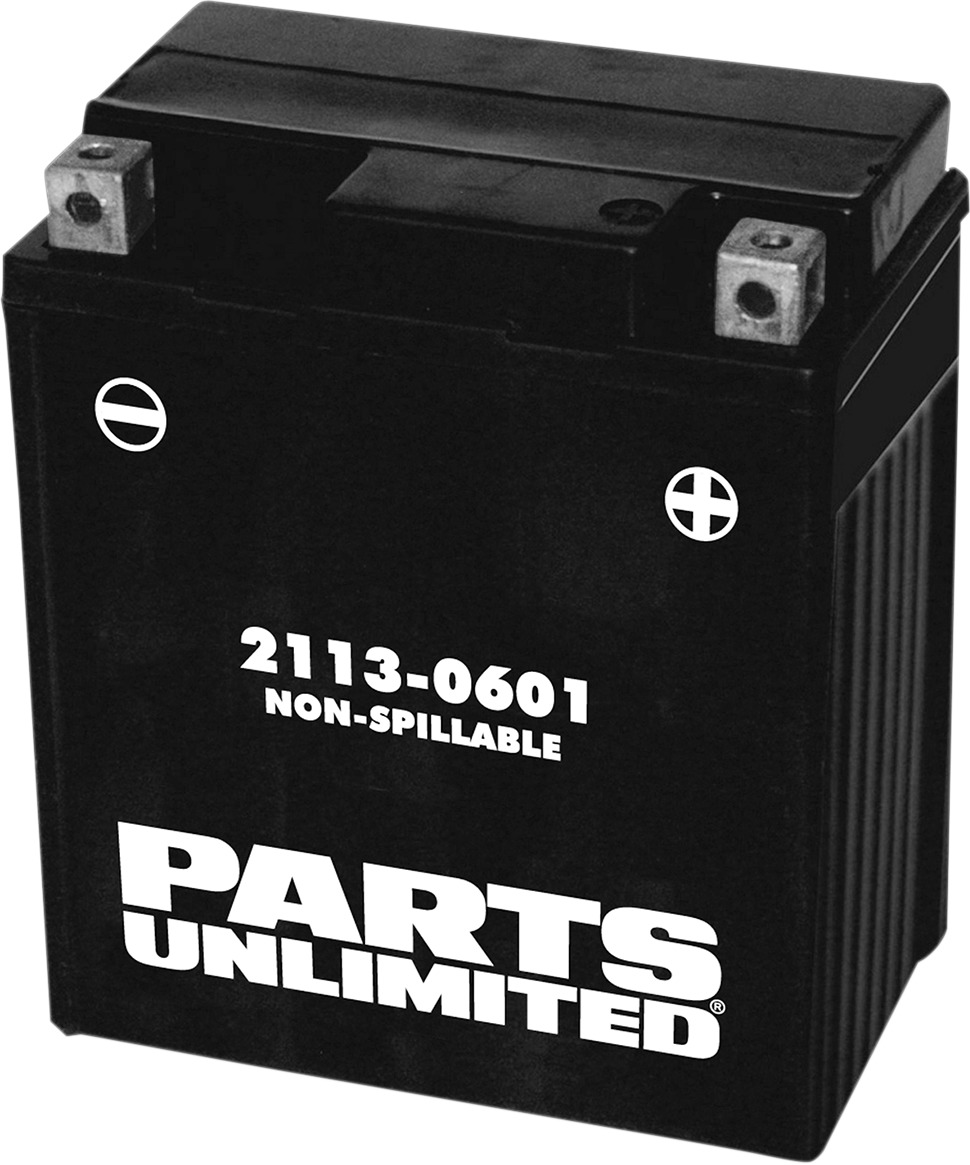 AGM Maintenance Free Battery 120CCA 12V 7Ah Factory Activated - Replaces YTZ8V - Click Image to Close