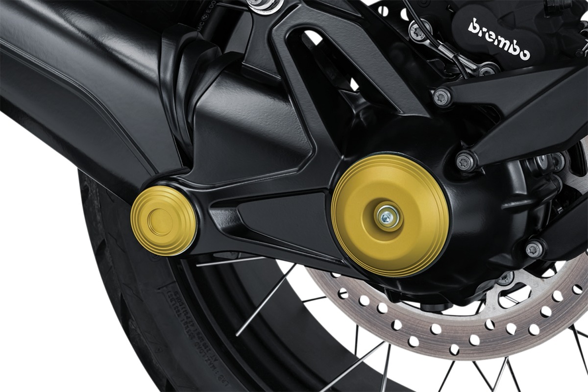 Lodestar Rear Axle Sliders Gold - BMW R1200/1250 R Nine T - Click Image to Close