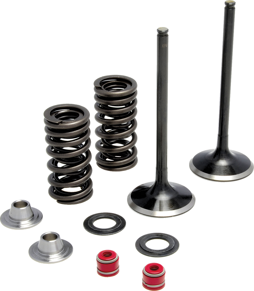 Intake Valve Spring Kit - For 05-18 Husqvarna Honda KTM 450 - Click Image to Close