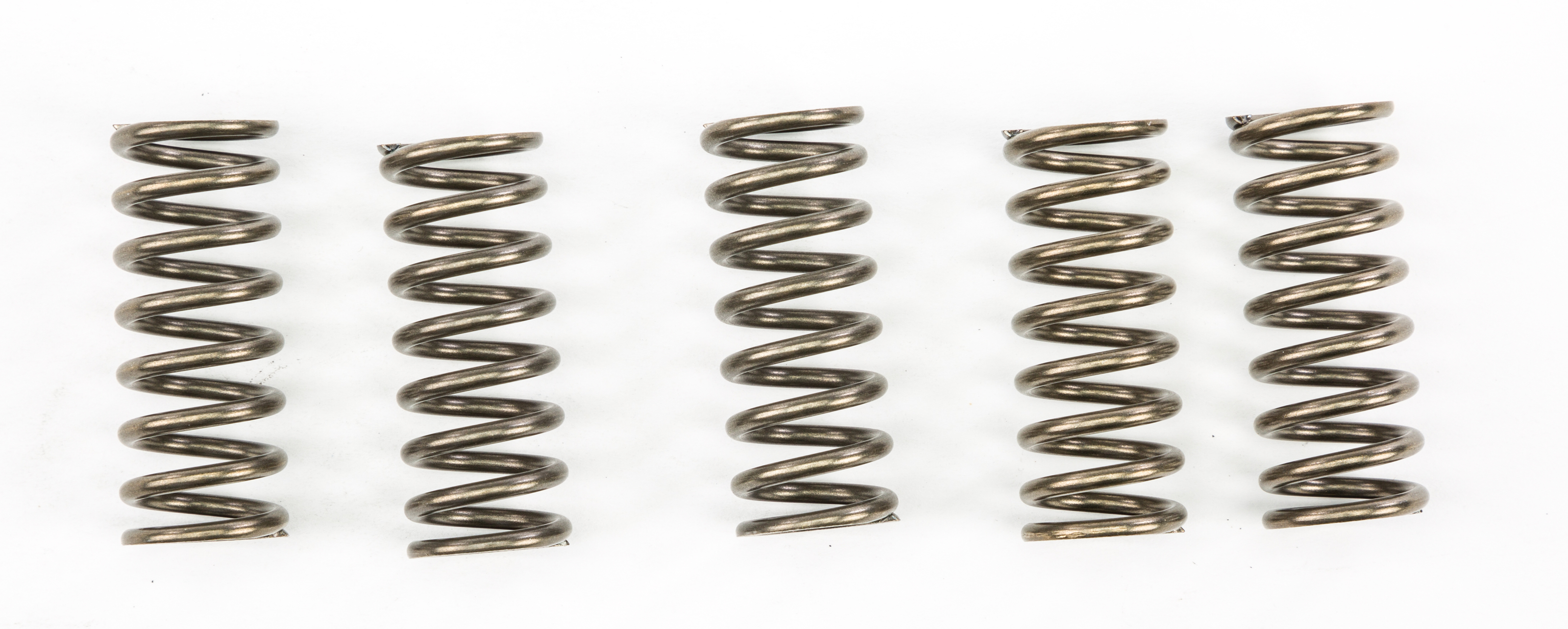 EBC CSK Coil Clutch Spring Kit (5 Pcs) Fits 17-19 BMW G 310 GS - Click Image to Close