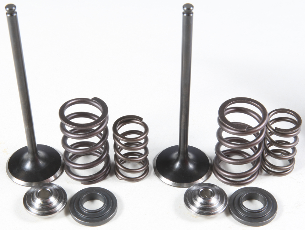 Intake Valve & Spring Kit Stainless Steel - Click Image to Close