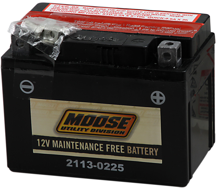 YTX AGM Maintenance Free Battery 200CCA 12V 12Ah - Replaces YTX4L-BS - Click Image to Close