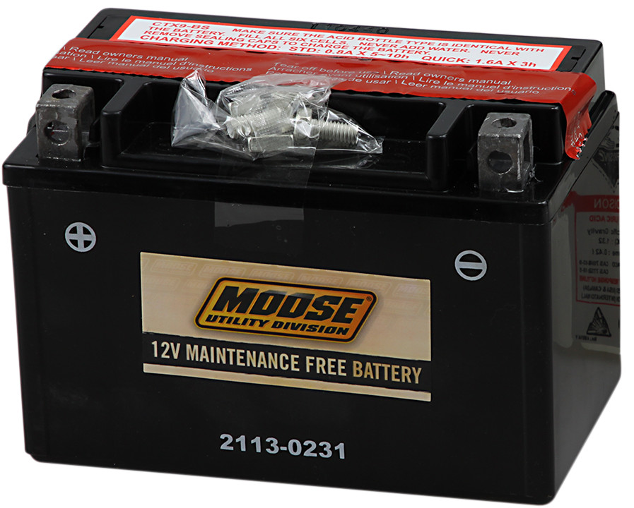 YTX AGM Maintenance Free Battery 135CCA 12V 8Ah - Replaces YTX9-BS - Click Image to Close