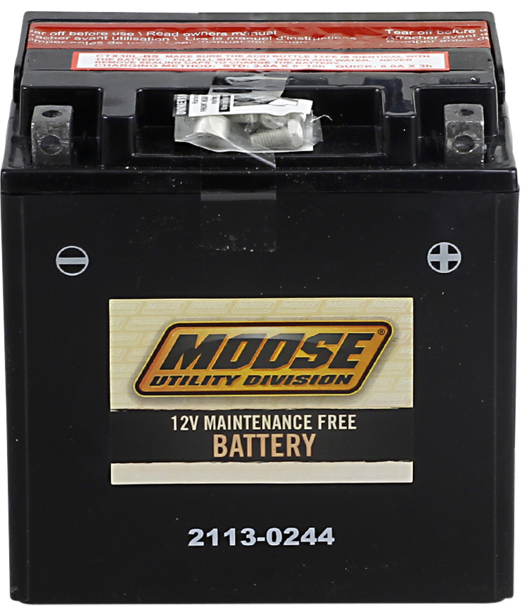 YIX AGM Maintenance Free Battery 385CCA 12V 30Ah - Replaces YIX30L-BS - Click Image to Close