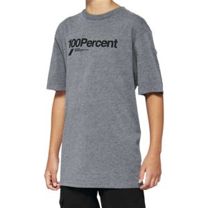 100% Youth Manifesto Tee Heather Grey - Size Small