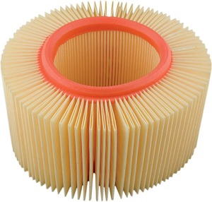 HiFloFiltro HFA7910 Air Filter Fits BMW Models