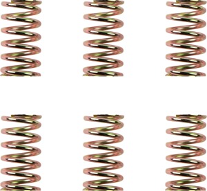 Barnett Clutch Spring Kit