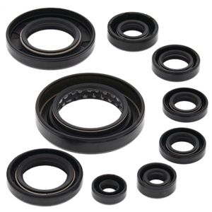 Oil Seal Kit