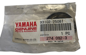 Oil Seal (25x44x6-810)