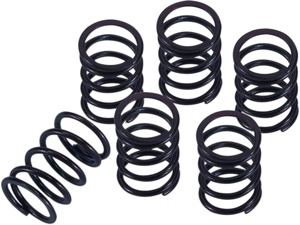 Barnett Clutch Spring Kit