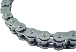530X110 SROZ2 O-Ring Chain