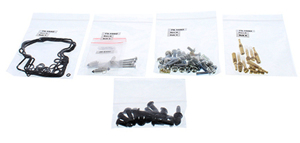 Carburetor Rebuild Kit