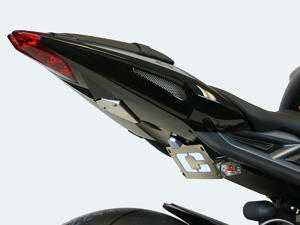 LTD Fender Eliminator - for 13-16 Triumph Daytona 675 & 675R