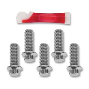 Rotor Bolt Set - Chrome