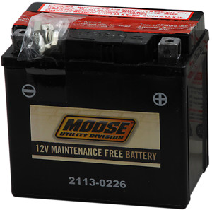 YTX AGM Maintenance Free Battery 80CCA 12V 4Ah - Replaces YTX5L-BS