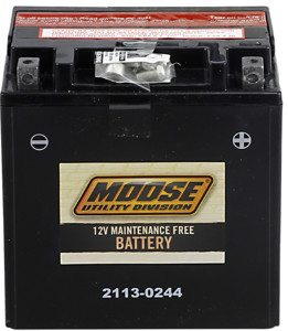 YIX AGM Maintenance Free Battery 385CCA 12V 30Ah - Replaces YIX30L-BS