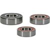 Pw Premium Wheel Bearing Pw Premium Wheel Bearing