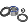 QuadBoss Front Wheel Bearing & Seal Kit Fits 95-03 Honda TRX400FW Foreman QuadBoss Front Wheel Bearing & Seal Kit Fits 95-03 Honda TRX400FW Foreman