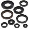 QuadBoss Oil Seal Set Gaskets & Seals Engine – 564136 QuadBoss Oil Seal Set Gaskets & Seals Engine – 564136