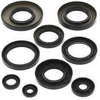 QuadBoss Oil Seal Set for Engine Gaskets & Seals QuadBoss Oil Seal Set for Engine Gaskets & Seals