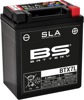 AGM Maintenance Free Battery 100CCA 12V 6.3Ah Factory Activated - Replaces YTX7L