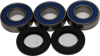 All Balls Rear Wheel Bearing & Seal Kit