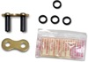 520 ERVT Racing Chain Link - Did 520Ervt G&B Rvt Mlink