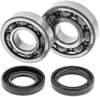 QuadBoss Crankshaft Bearing & Seal Kit Fits 1988-2006 Yamaha YFS200 Blaster QuadBoss Crankshaft Bearing & Seal Kit Fits 1988-2006 Yamaha YFS200 Blaster