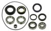 Bronco Differential Bearing and Seal Kit AT-03A94 - Complete differential bearing and seal kit
