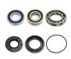Bronco Wheel Bearing Kit AT-06810 - Complete wheel bearing kit with seals